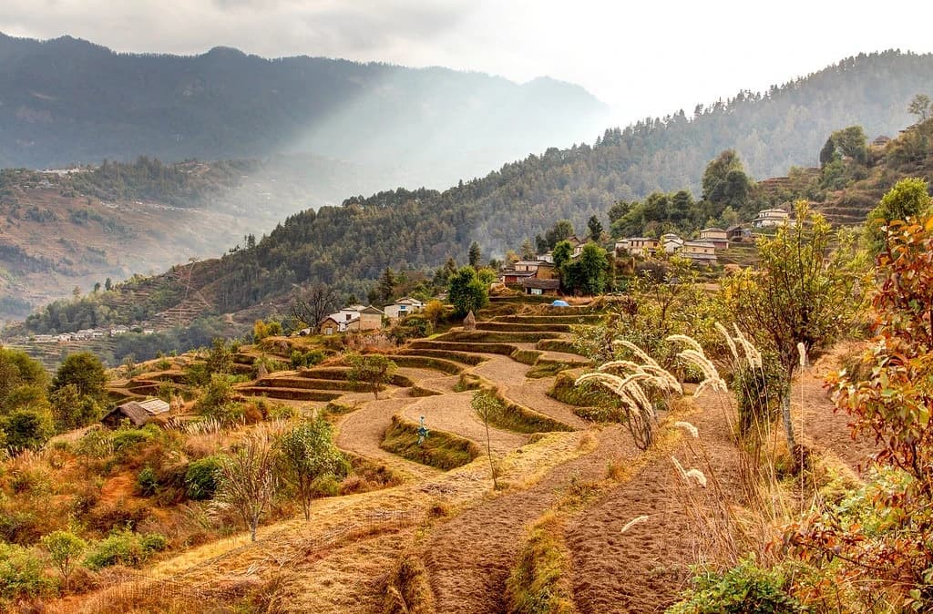 faming land on the way to mohara danda trek