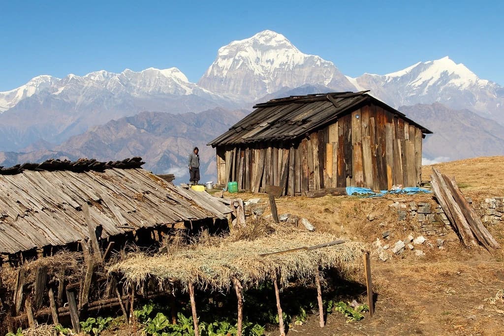 On the way to mohare danda trek